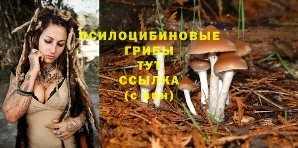 первитин Медвежьегорск