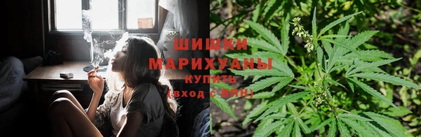 a pvp Медногорск