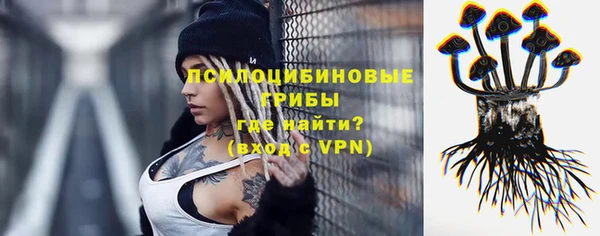 apvp Магадан